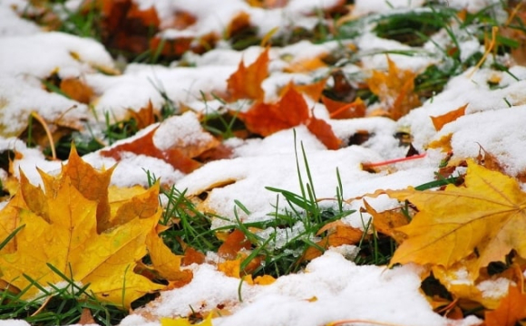 Якою буде погода в Україні у перші дні зими