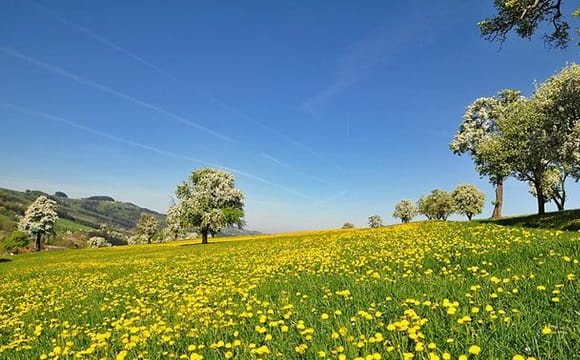 В Україну йде потепління до +29 градусів: коли чекати спеки