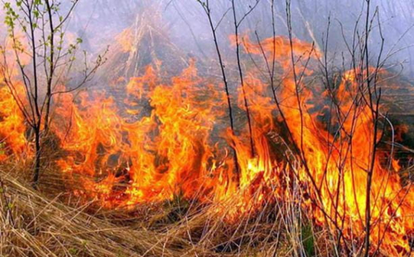 Волинь охопили масові пожежі