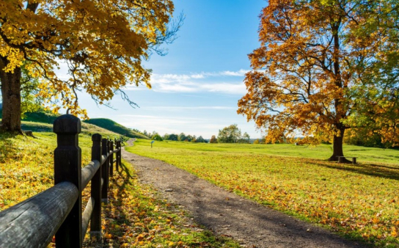 З цією датою пов'язано багато традицій і прикмет: церковне свято 27 жовтня