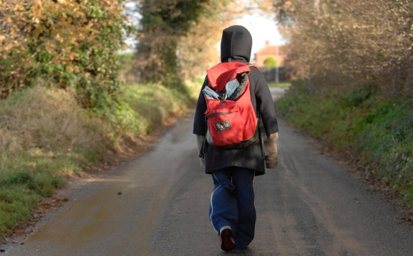 З території маєтку безслідно зникла 4-річна дитина