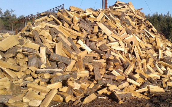 Стало відомо, як правильно зберігати дрова взимку, щоб не залишитися без тепла