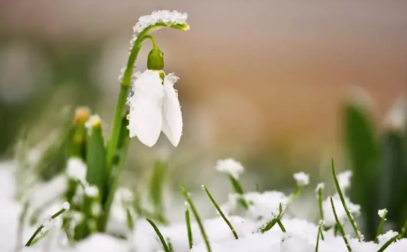 Яке свято відзначають українці 1 березня: народні прикмети і традиції