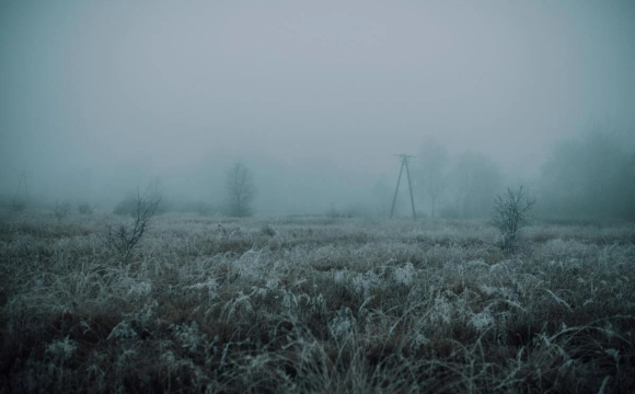 У Львові вдарять сильні заморозки: названа дата