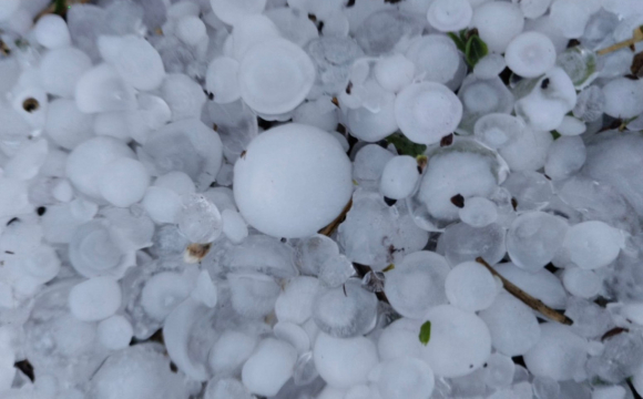 На заході України випав град розміром з куряче яйце