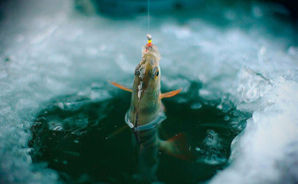 Волинян можуть оштрафувати на  3468 гривень