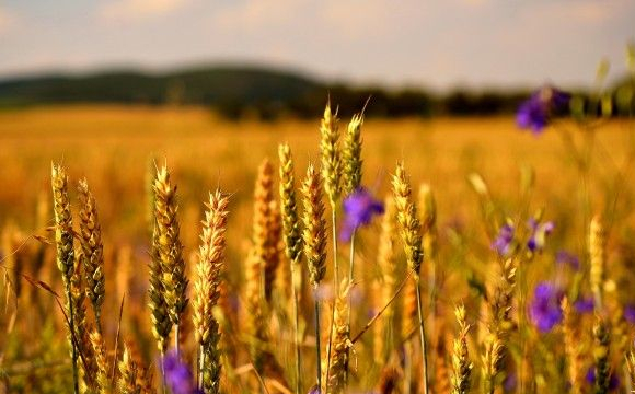 Астрологи назвали п'ять знаків Зодіаку, у яких наприкінці серпня різко зміниться життя