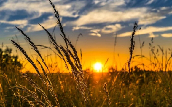 Яке церковне свято відзначають українці 23 серпня: народні прикмети і традиції