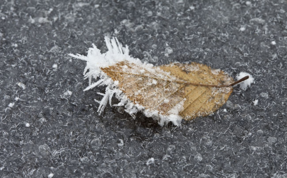 Україну накриють заморозки та сильний вітер, оголошено небезпеку