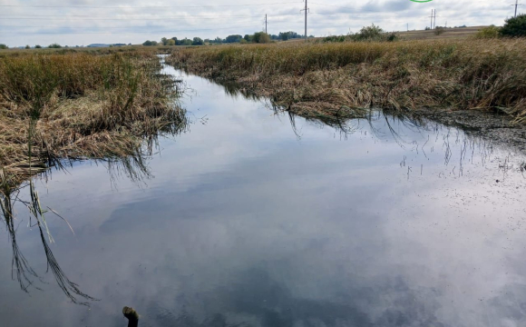 На Волині незаконно осушували ставок: спалахнув скандал