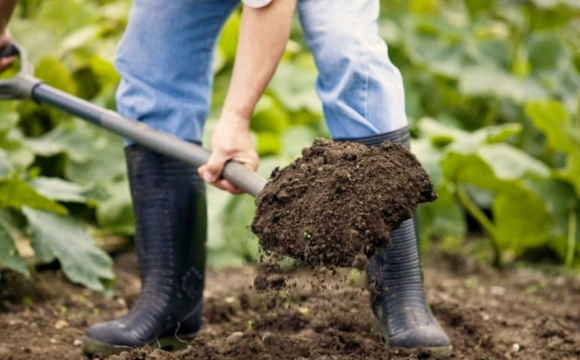 Коли можна садити город після Великодня