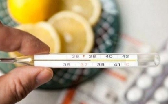 Що потрібно їсти, аби не захворіти під час зимових свят