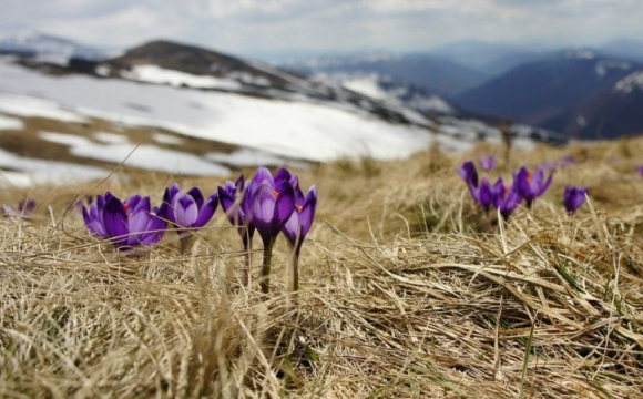 День обіцяє приємні новини: гороскоп на 5 березня для всіх знаків Зодіаку