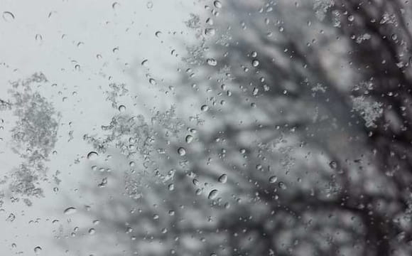 Стало відомо, коли в Україні випаде мокрий сніг