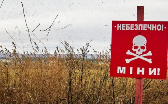 У Волинській області чоловік підірвався на міні 