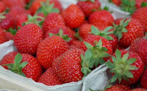 Популярна ягода різко подорожчала: доведеться віддати до 1000 гривень за кілограм