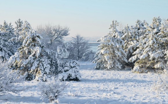 Україну накрив потужний Азійський антициклон, екстремальні морози до -25