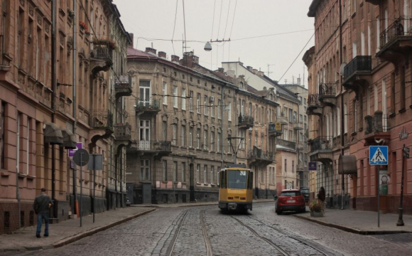 Українські міста атакують небезпечні тварини