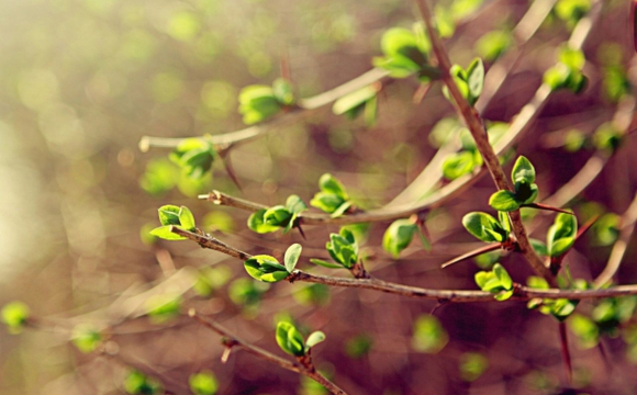 Антициклон накриє Україну: прогноз погоди на 4-5 квітня