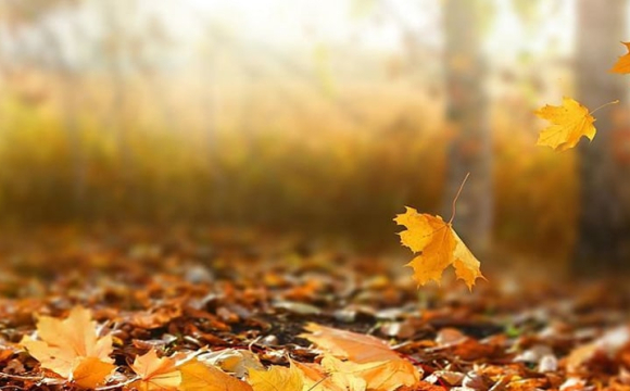 Температура в Україні підвищиться до +18 градусів: назвали дату