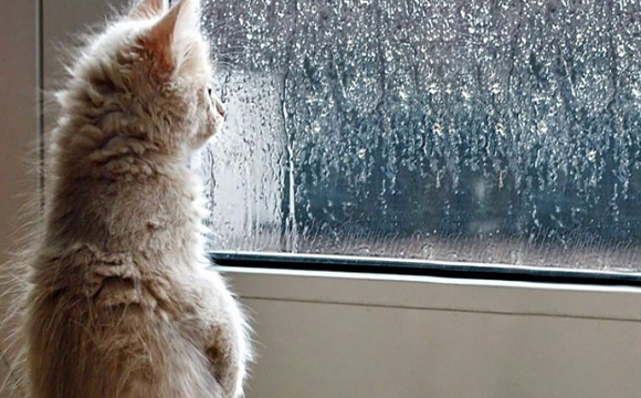 Похолодання та дощі: українців попередили про різку зміну погоди