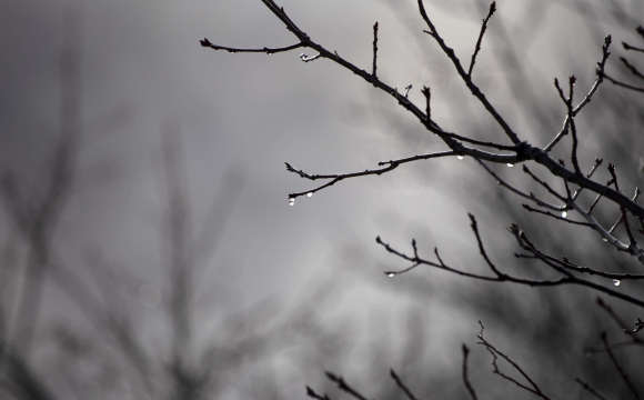 В Україну йде потужний антициклон: як зміниться погода