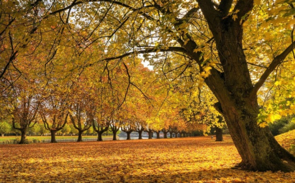 Новий тиждень, новий старт: гороскоп на 3 листопада для всіх знаків Зодіаку