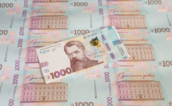 Де в Україні можна витратити «зимову тисячу»: перелік магазинів