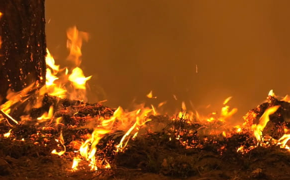 У селі на Волині під час гасіння пожежі знайшли тіло чоловіка