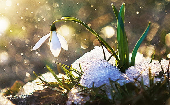 День несподіваних відкриттів: гороскоп на 18 березня для всіх знаків Зодіаку