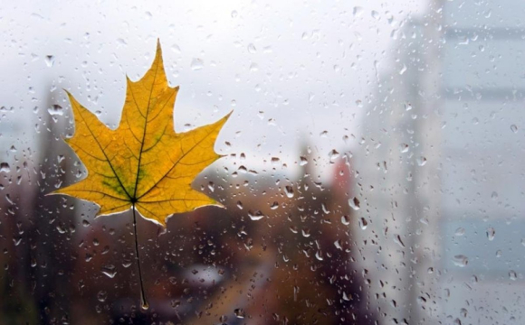 Якою буде погода у Луцьку та області на вихідні