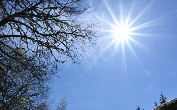 У яких областях України буде найтепліше 24–25 січня