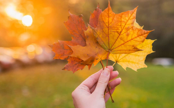 Якою буде погода в Україні на вихідних