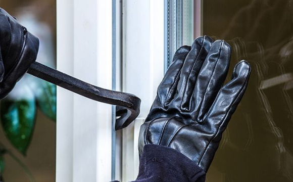 У Волинській області обікрали ліцей: винесли рибу, ноутбук і техніку