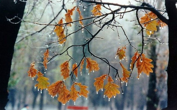 Українців попередили про складну погоду на вихідних