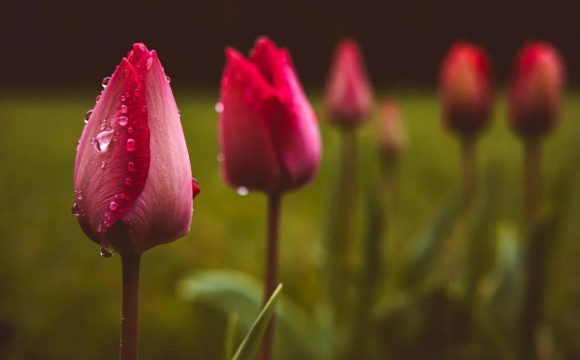 Захід України накриє різке похолодання 