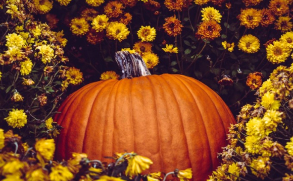 Понеділок під прицілом зірок: гороскоп на 13 жовтня для всіх знаків Зодіаку