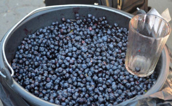 На Волині пенсіонерку оштрафували за закупівлю чорниці