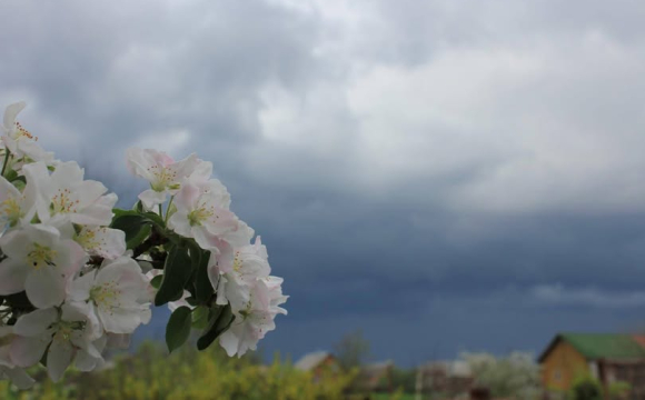 Україну накриють перші весняні грози