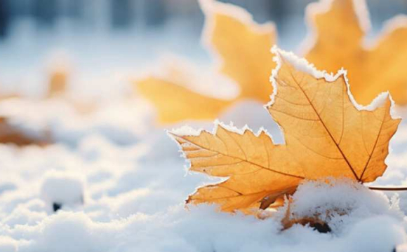 У деяких містах України вже побачили перший сніг