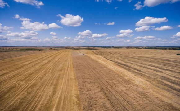 Через що українці найчастіше судяться за землю