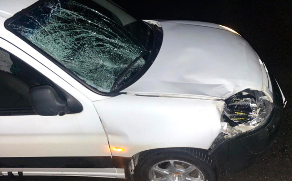 20-річний водій авто на смерть збив пішохода