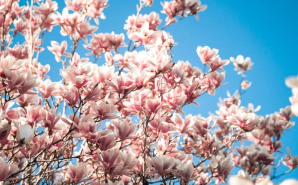 День змін і рішень: гороскоп на 6 квітня для всіх знаків Зодіаку