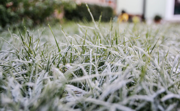 Заморозки накриють Україну: оголошено небезпеку на три доби