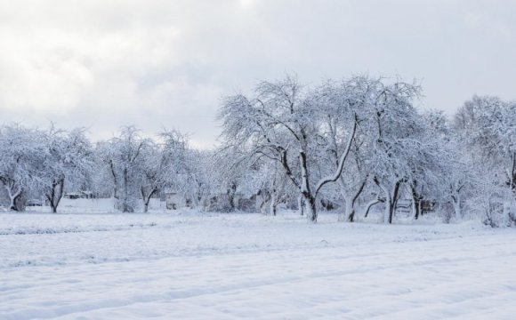 На заході України розпочався сильний зимовий шторм