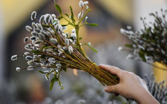 Що заборонено робити із освяченою вербою