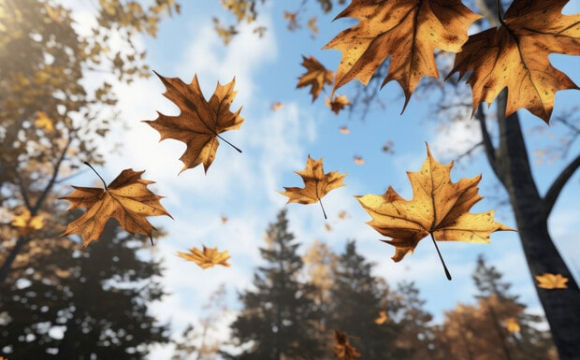 Україну накриє контрастна погода