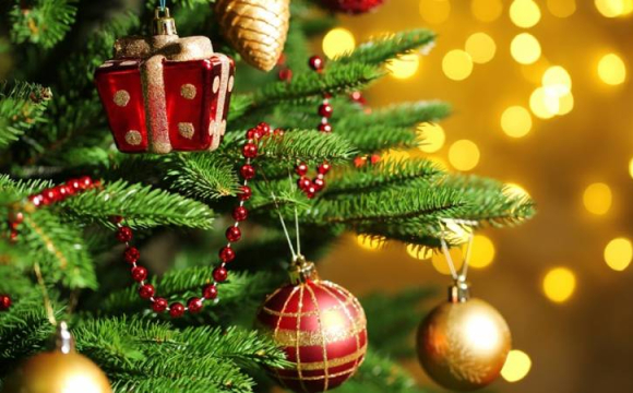 У місті на Волині не будуть ставити новорічну ялинку