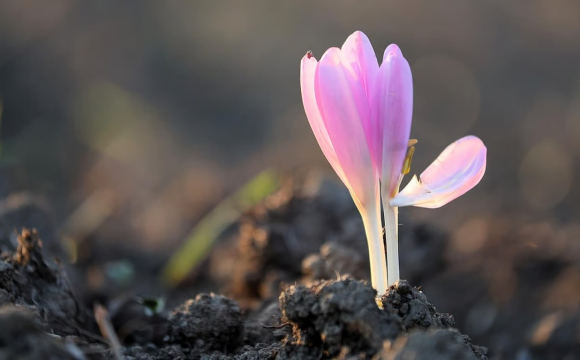 В Україні зафіксували тривожну аномалію