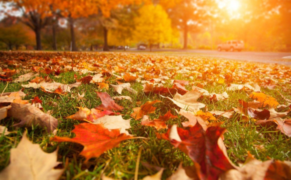 Скільки ще протримається тепло в Україні